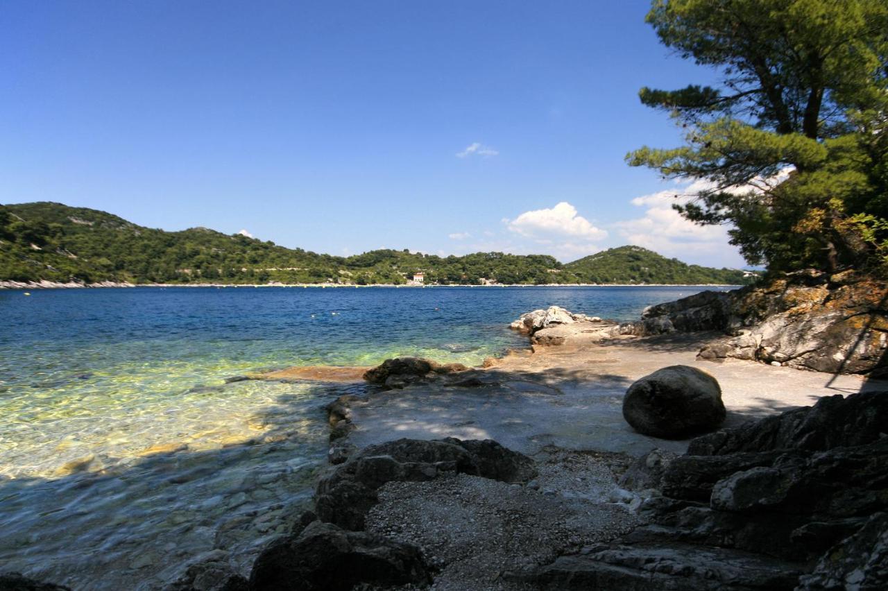 Apartments By The Sea Sobra, Mljet - 4908 Babino Polje Exterior foto